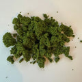 Light Green Clump Foliage, Woodland Scenic, Diorama, Scenery, Architeture Model